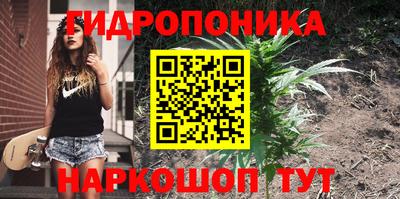 гидропоника Анжеро-Судженск